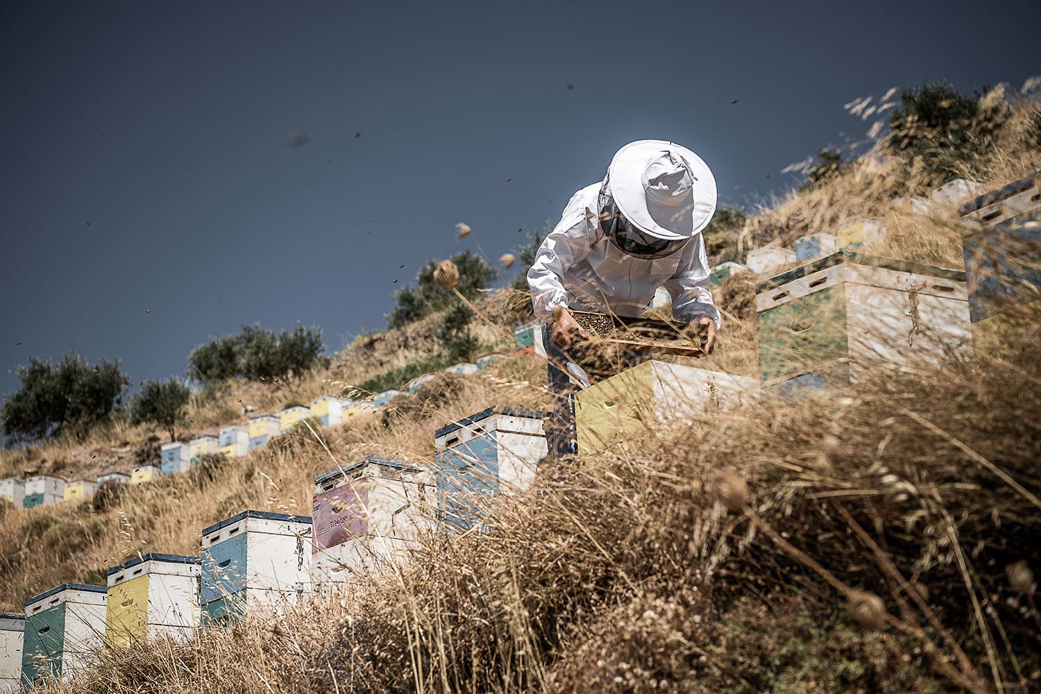 man-hillside-honeycomb