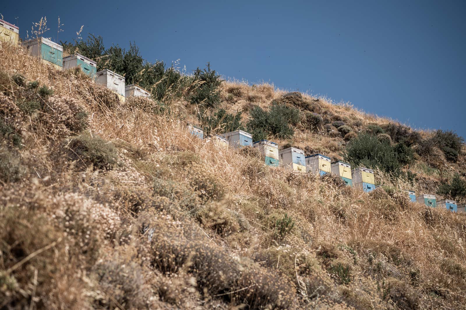 beehive-boxes-view-below