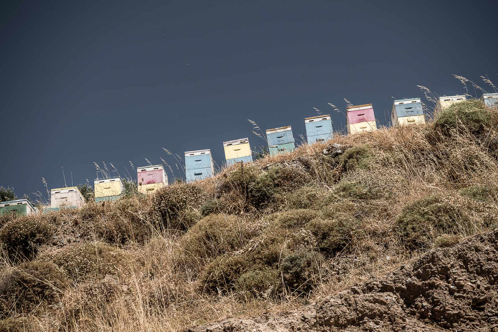 beehive-boxes-below