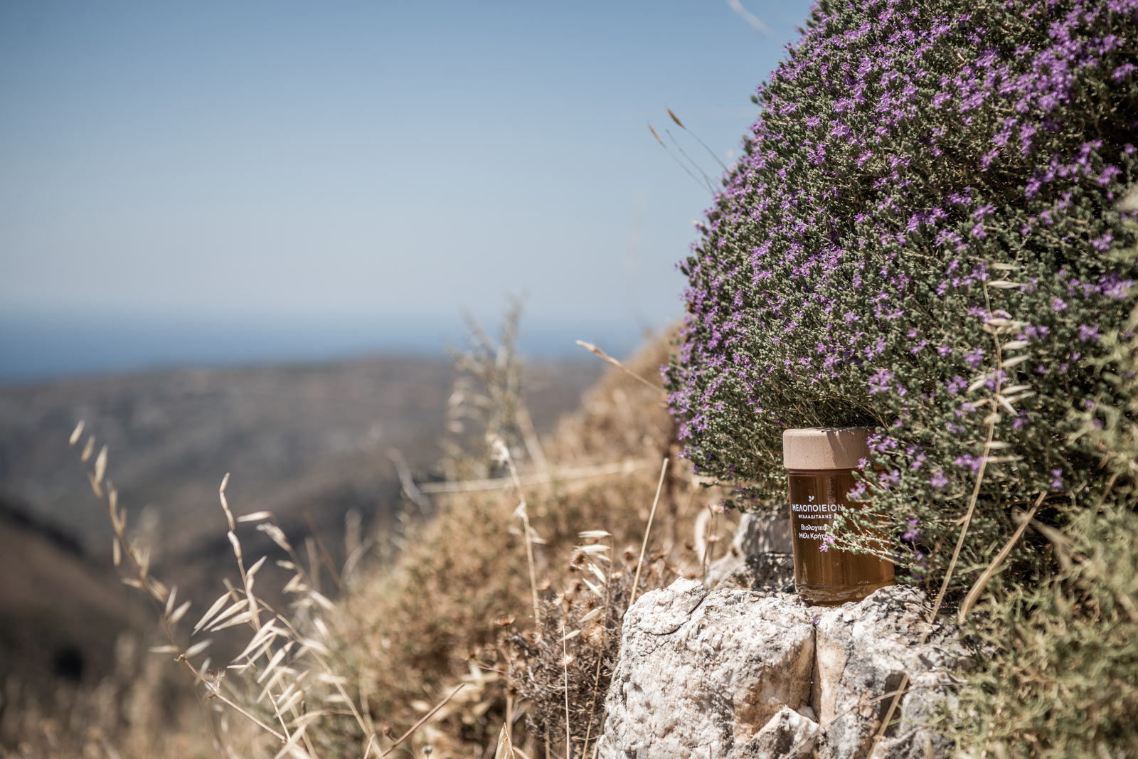 jar-rock-thyme